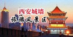 可以免费看搞逼的网站中国陕西-西安城墙旅游风景区